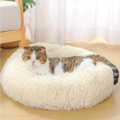 Collection image for: Pet